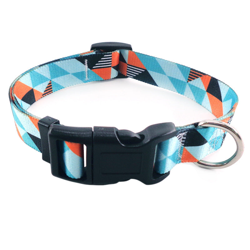 Bright And Novel Multi-color Pet With Colorful Dog Leash