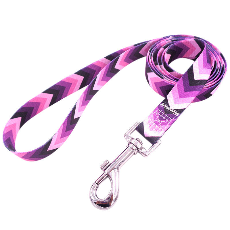 Bright And Novel Multi-color Pet With Colorful Dog Leash