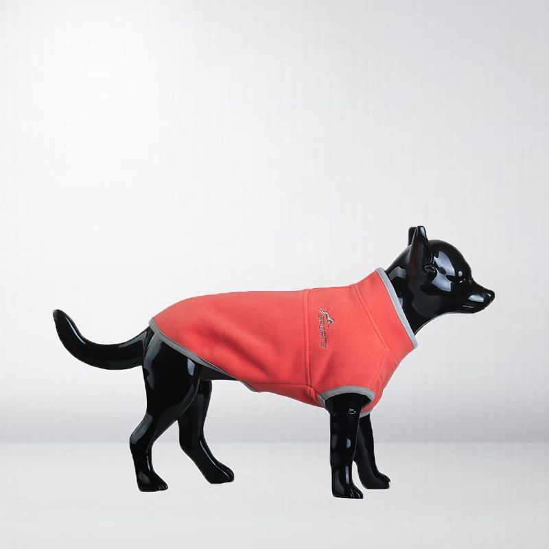 Pet clothes dog clothes