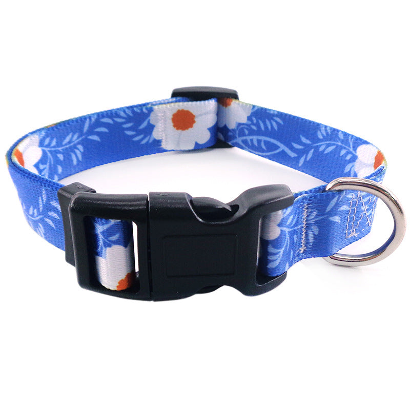 Bright And Novel Multi-color Pet With Colorful Dog Leash