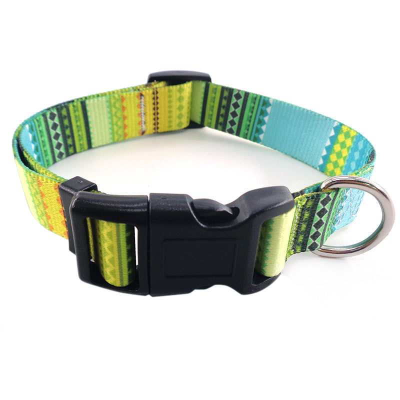 Bright And Novel Multi-color Pet With Colorful Dog Leash