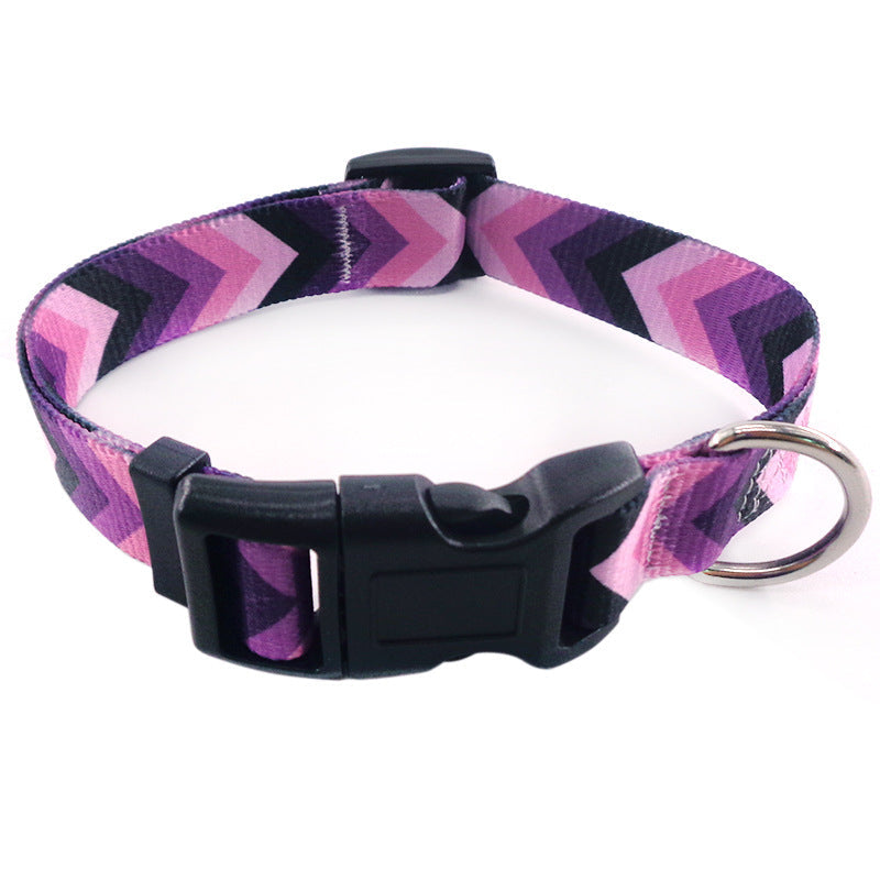 Bright And Novel Multi-color Pet With Colorful Dog Leash