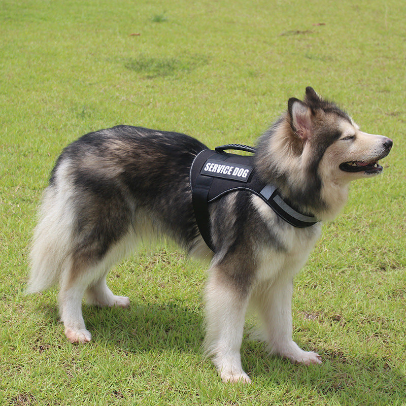 Pet harness